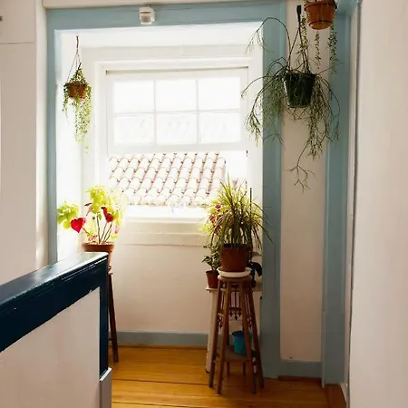 Like By Madrabica Apartment