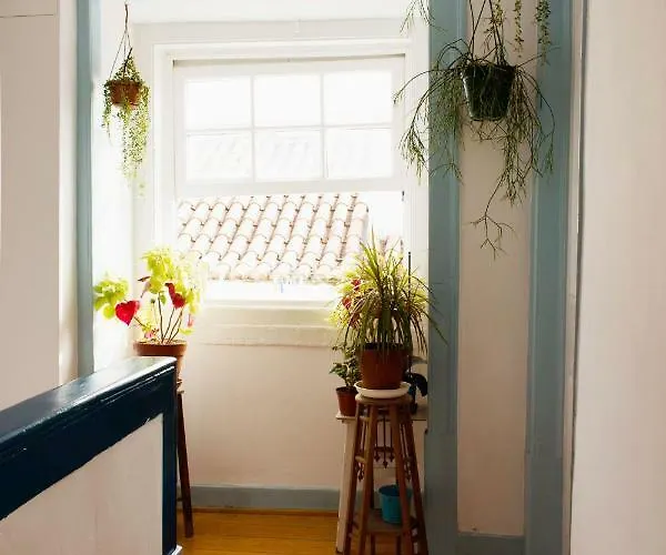 Like By Madrabica شقة