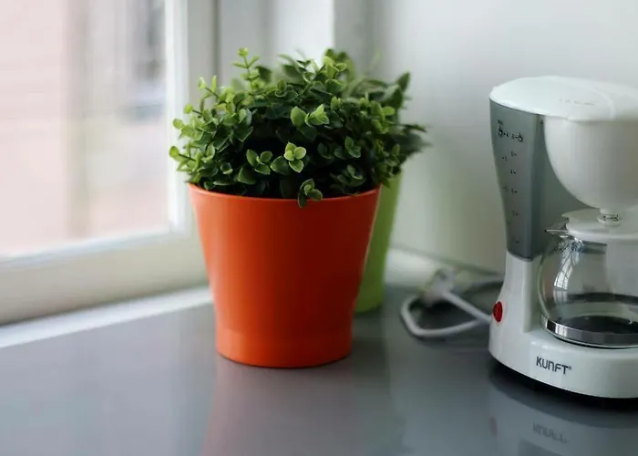 Like By Madrabica شقة *